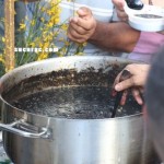 IMG_9549