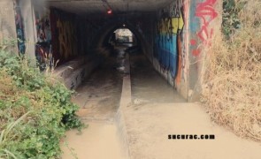 IMG_9725