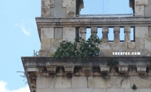 IMG_9458
