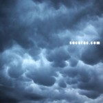IMG_0067