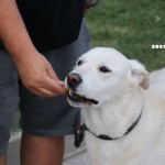 IMG_2637