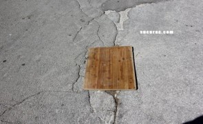 IMG_4548