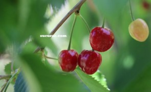 IMG_8827