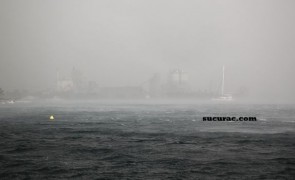 IMG_2049