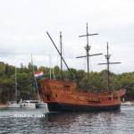 IMG_7481
