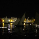 IMG_7818