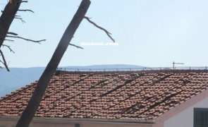 IMG_8099